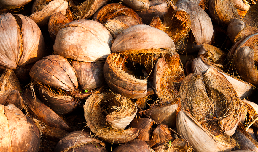 What is Coco Peat?