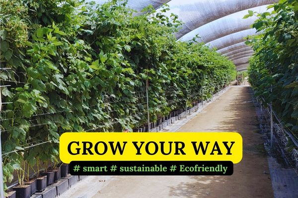 HortGrow Solutions