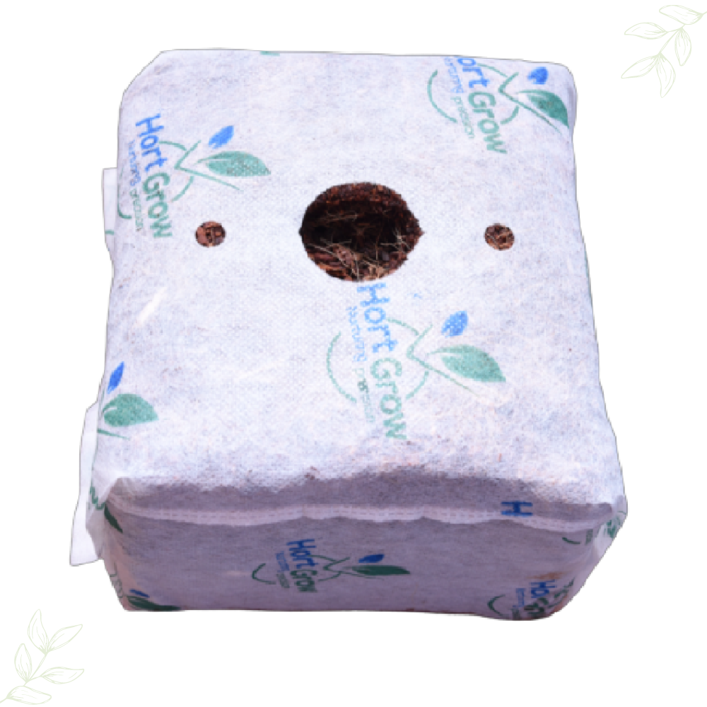Get your coco grow cube online – HortGrow Solutions