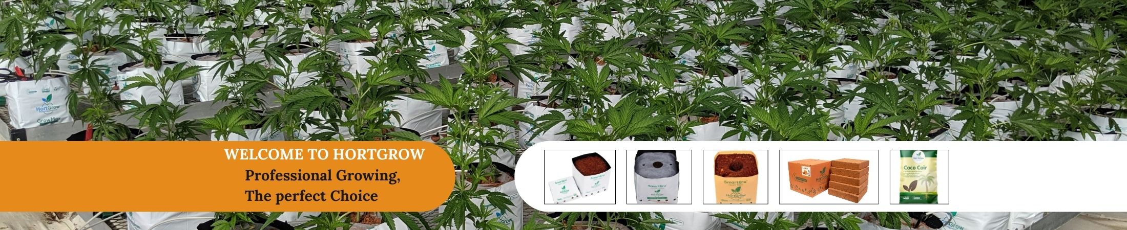 HortGrow Solutions
