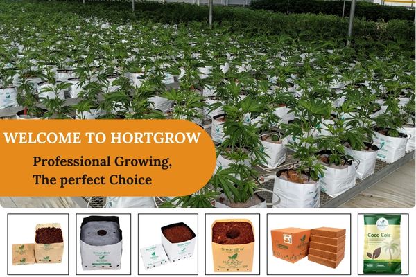 HortGrow Solutions