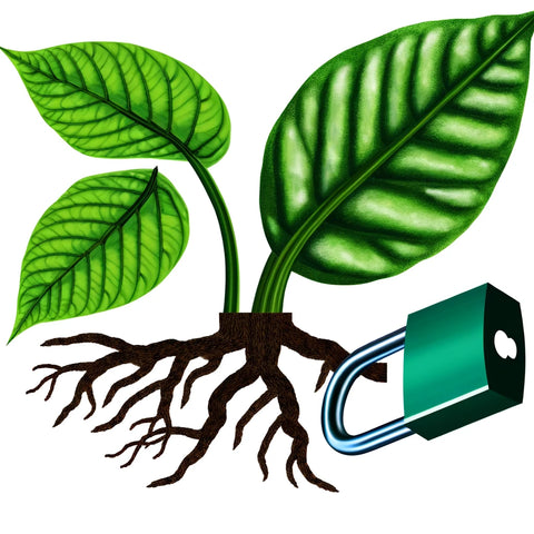HortGrow cultivation reference