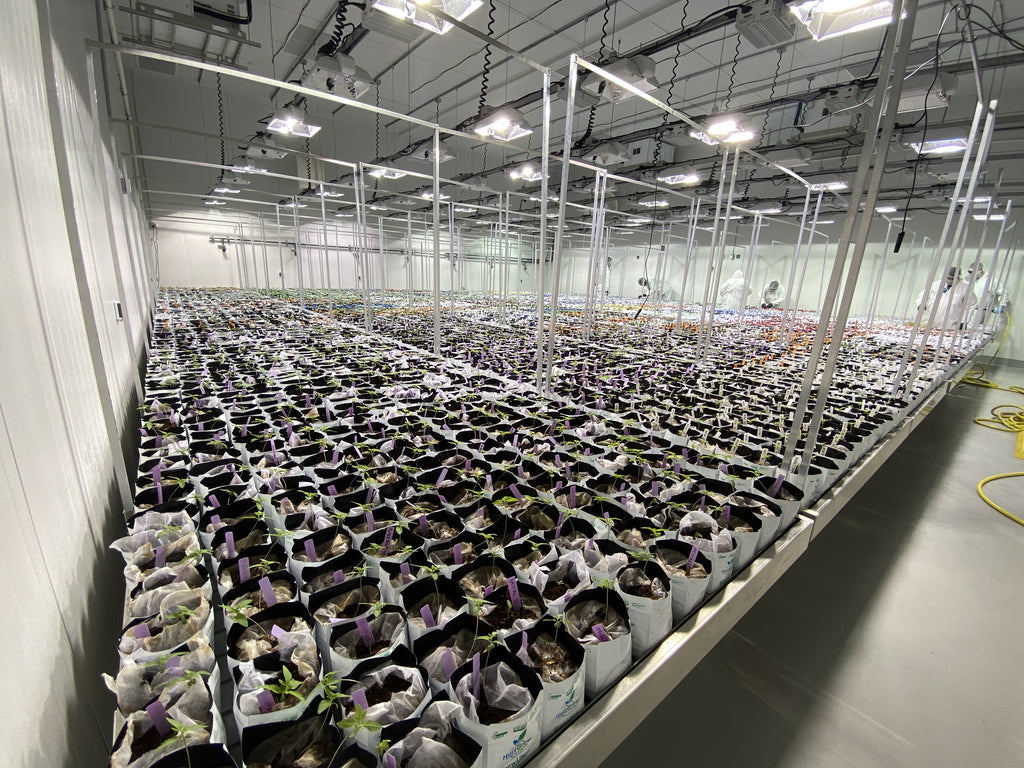 HortGrow cultivation reference