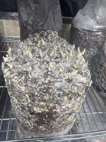 HortGrow cultivation reference