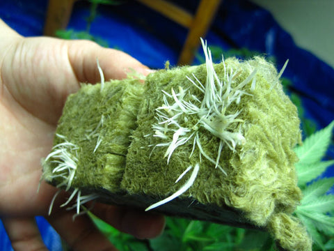 HortGrow cultivation reference
