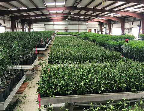HortGrow cultivation reference
