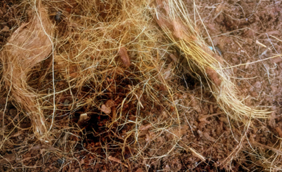 HortGrow cultivation reference
