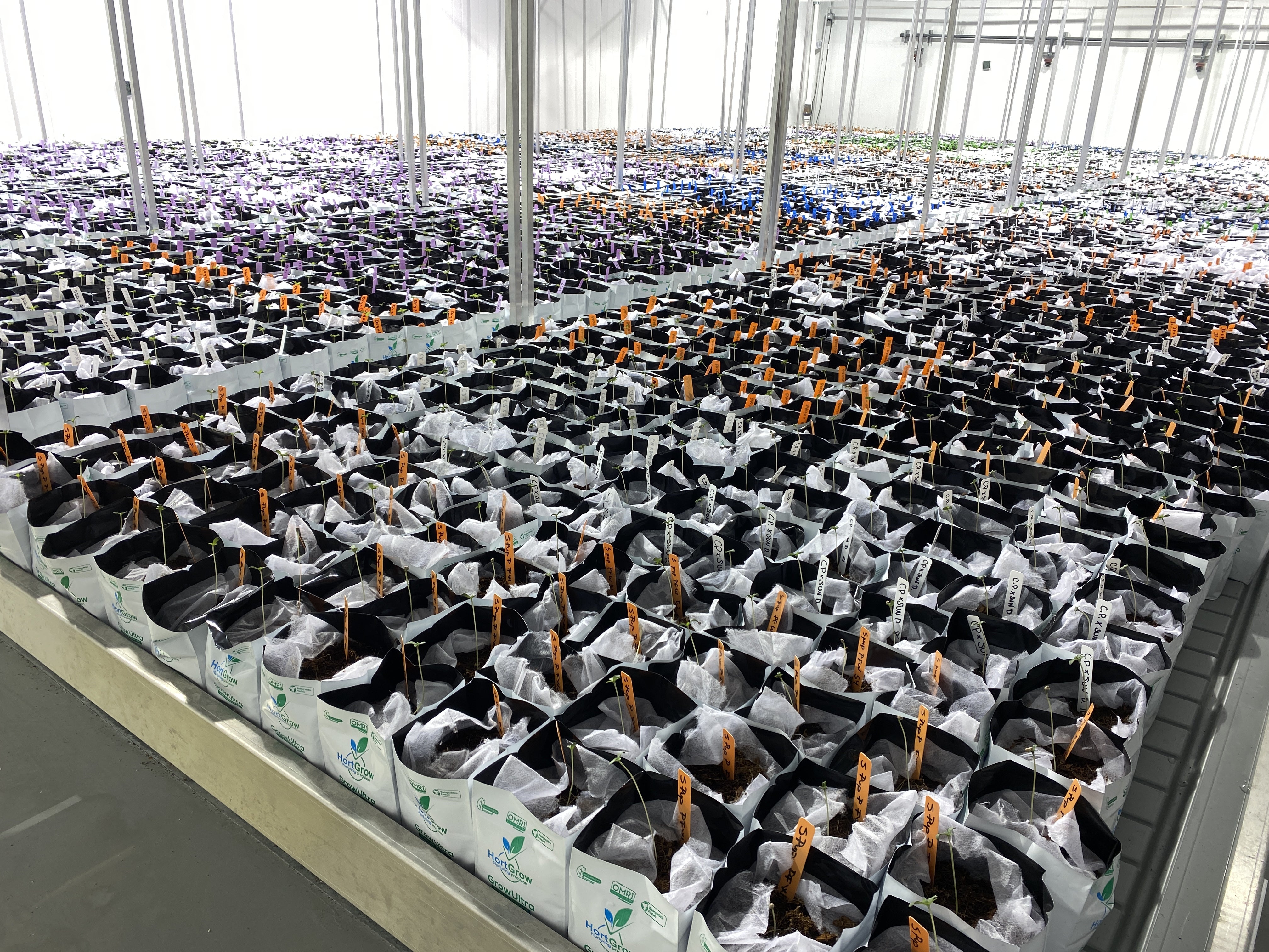 HortGrow cultivation reference