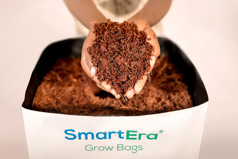 Economics of Growing in Premium Coco Coir
