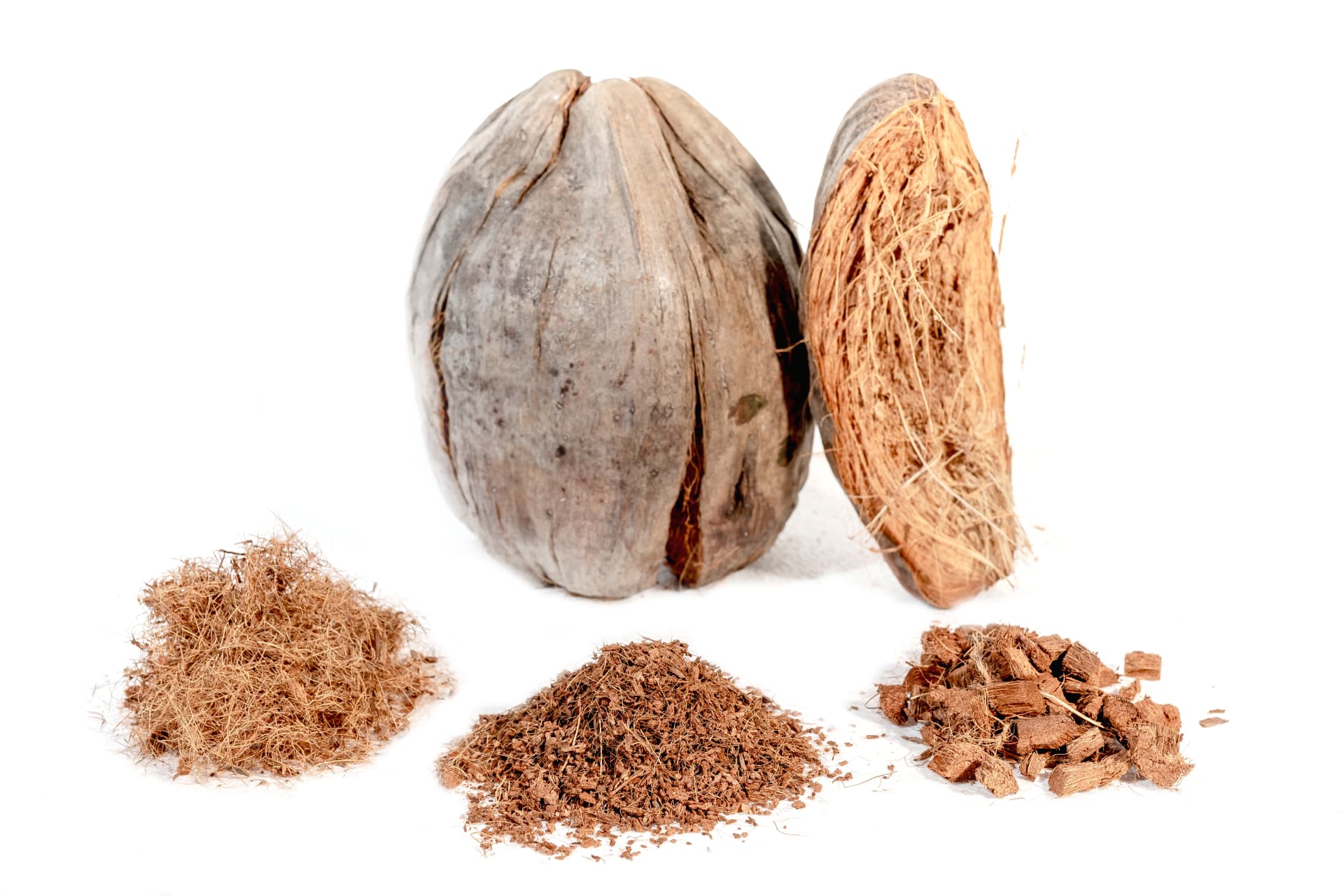 Coconut husk and its fiber, pith and chip fractions