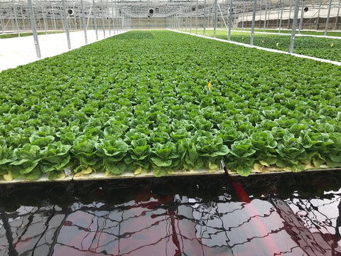 HortGrow cultivation reference