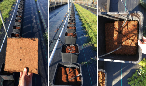 HortGrow cultivation reference