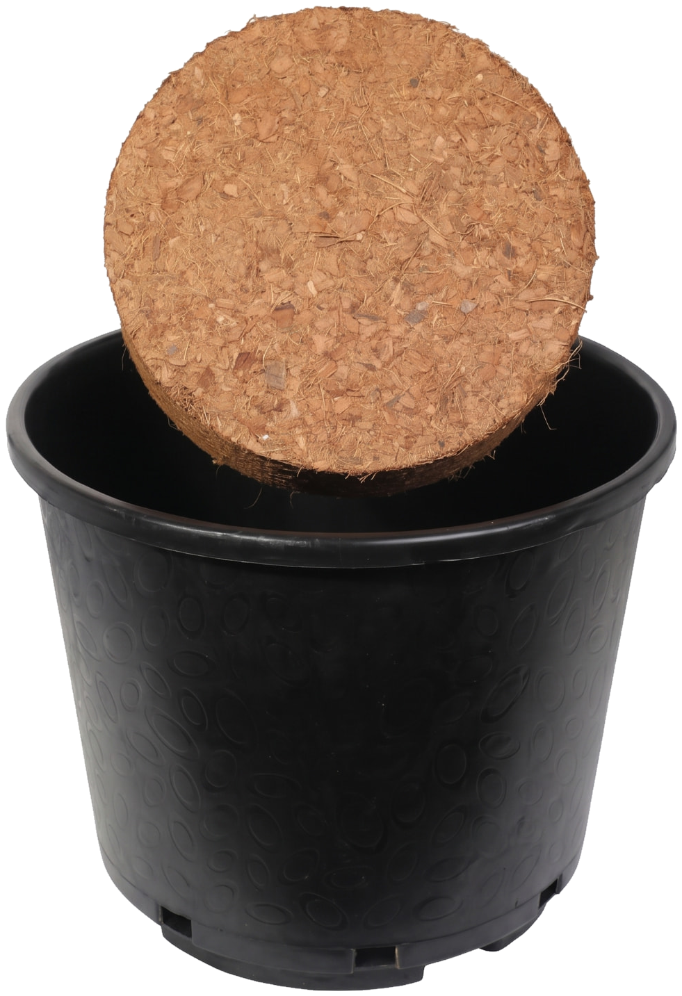 Container Blends