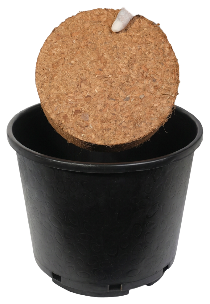 Container Blends