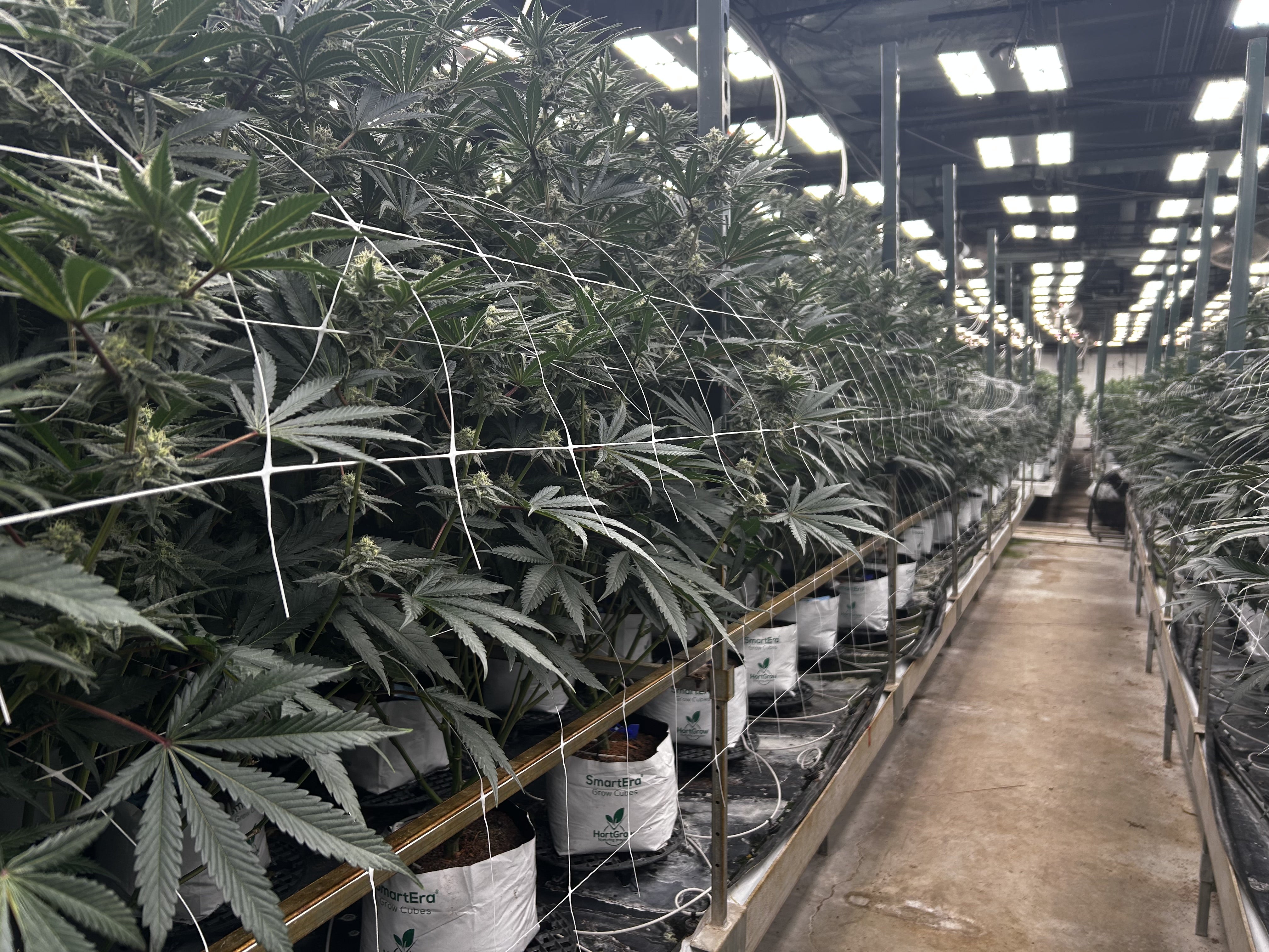 Our Commitment to Sustainable Growing