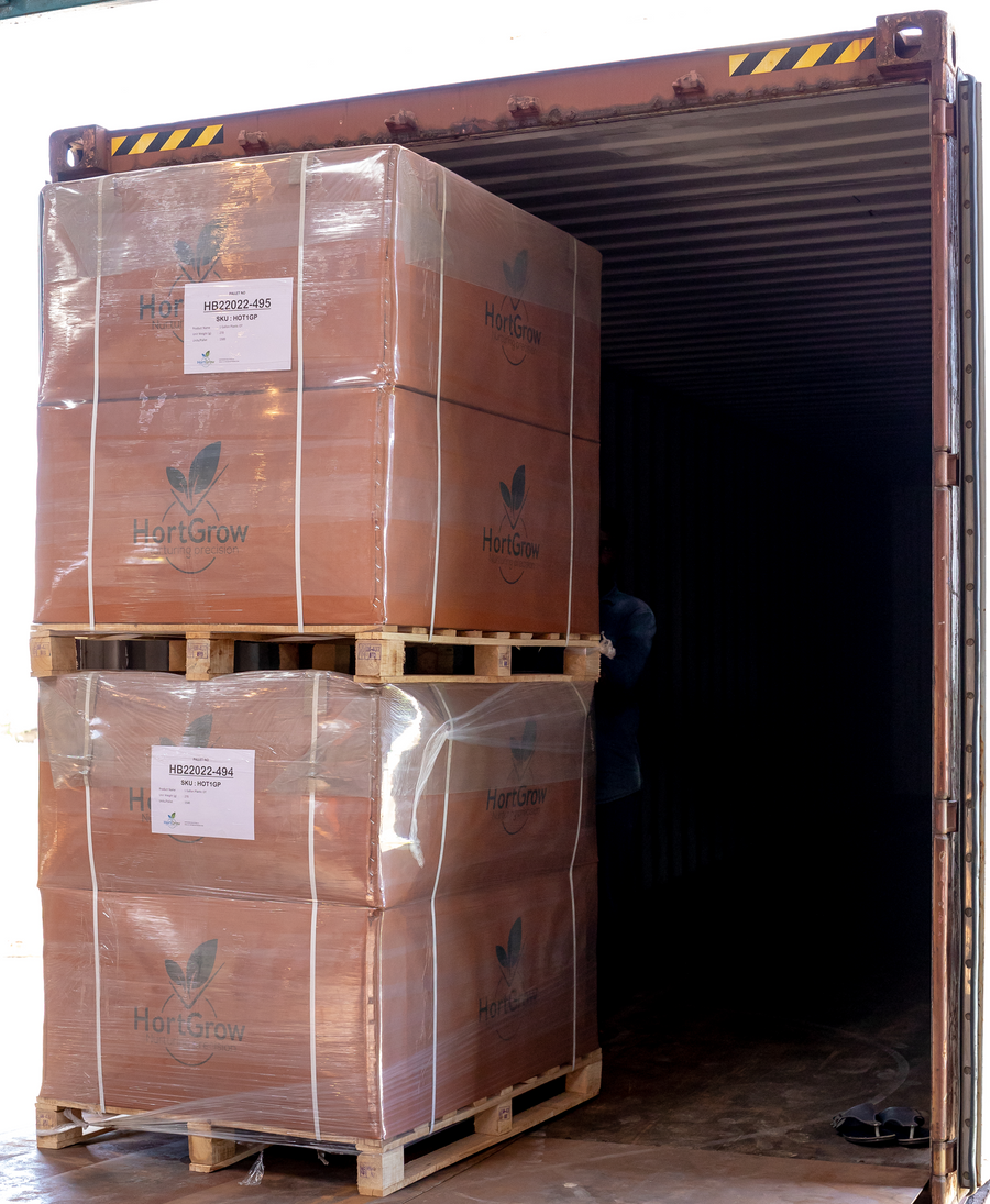 Direct Global Efficiency: Container-Level Orders