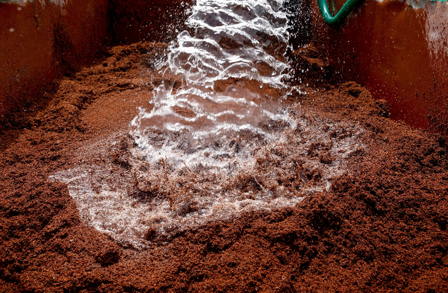 HortBlog: Staying Ahead of the Curve